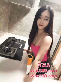 龙岗新人兼职服务–薇薇