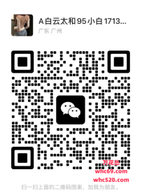 太和95顶级网红场