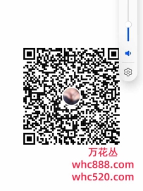 福田天然巨乳H杯美眉-婉木清