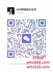 佛山千色汇会所