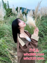龙岗公司文员兼职服务-佳一