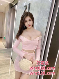南海新人大奶妹妹兼职-爱爱