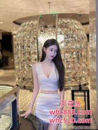 南山新人200快餐服务-甜甜