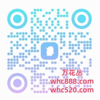 广州高端丝足SM