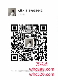佛山禅城星辉94丝足优质场