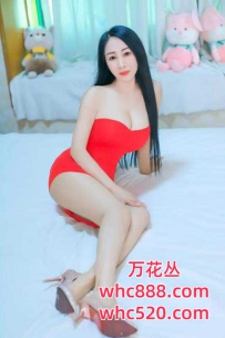福田性感风骚诱惑服务-大美