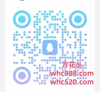 深圳，广州全区 一手嫩茶
